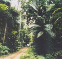 Conondale Great Walk - Pet Food Australia