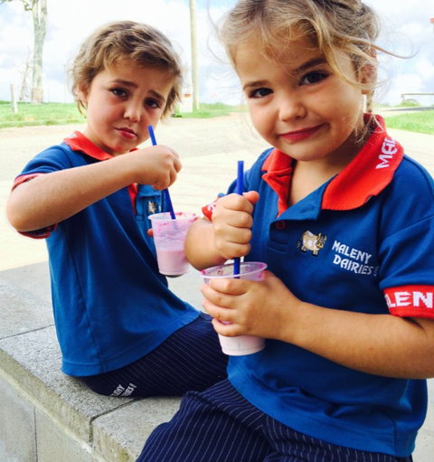 Maleny Dairies - Pet Food Australia 3