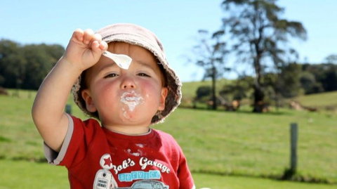 Maleny Dairies - Pet Food Australia 5