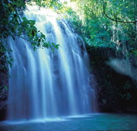 Zillie Falls - Food Delivery Shop