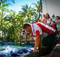 The Living Reef on Daydream Island - Food Delivery Shop