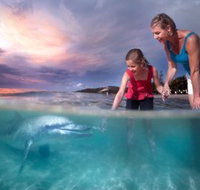 Tangalooma Island Resort - Food Delivery Shop