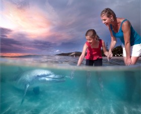 Tangalooma Island Resort - Food Delivery Shop 0