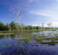 Tyto Wetlands - Food Delivery Shop