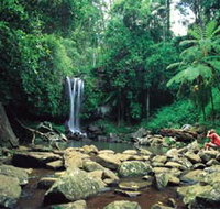 Tamborine National Park - Pet Food Australia