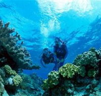 Coral Gardens Dive Site - Food Delivery Shop