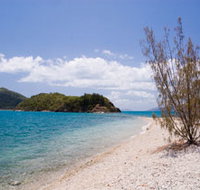 Paddle Bay Track and Campsite - Food Delivery Shop