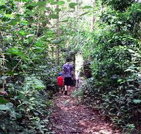 Malanda Falls Rainforest Walk Malanda Falls Conservation Park - Food Delivery Shop