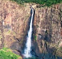 Buujan Quiinbiira Walk Wet Tropics Great Walk - Food Delivery Shop