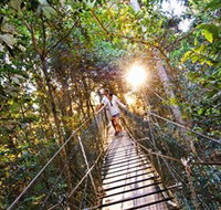Tree Top Walkway - Pet Food Australia