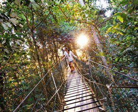 Tree Top Walkway - Food Delivery Shop 0