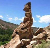 Donnellys Castle - Pet Food Australia