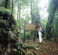 Tooloona Creek circuit - Pet Food Australia