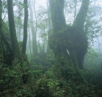 West Canungra Creek Circuit - Pet Food Australia