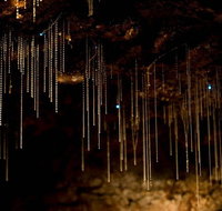 Cedar Creek Estate - Pet Food Australia