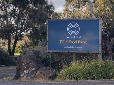 Wild Food Farm & Cafe - Food Delivery Shop 1