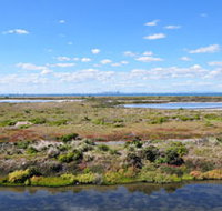 Point Cook Coastal Park - Pet Food Australia