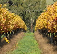 Wild Dog Winery  Restaurant - Food Delivery Shop