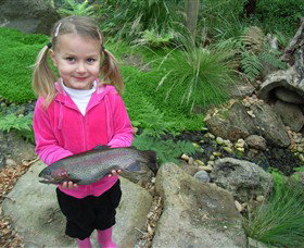 Wild Food Farm & Cafe - Food Delivery Shop 0