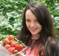 Yarra Valley Gateway Estate - Food Delivery Shop