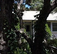 Melaleuca Gallery - Food Delivery Shop
