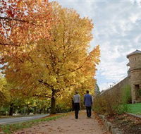 Indigo Gold Trail - Food Delivery Shop