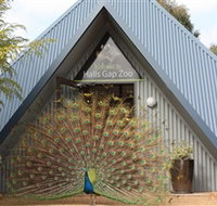 Halls Gap Zoo - Food Delivery Shop