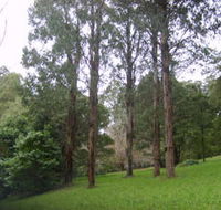 Mount Dandenong Arboretum - Food Delivery Shop