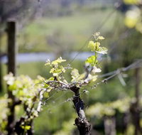 Norton Estate Wines - Food Delivery Shop