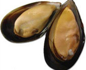 Sea Bounty - Food Delivery Shop 0