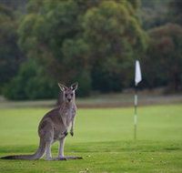 Anglesea Golf Club - Food Delivery Shop