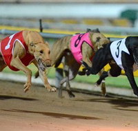 The Beckley Centre - Pet Food Australia