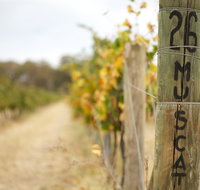 Stanton and Killeen Wines - Food Delivery Shop