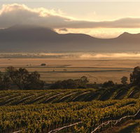 Montara Wines - Food Delivery Shop