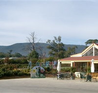 The Big Bouquet - Pet Food Australia