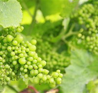 Waratah Hills Vineyard - Food Delivery Shop
