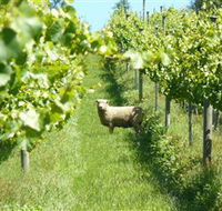 Passing Clouds - Food Delivery Shop