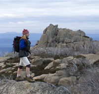 Mount Buffalo National Park - Food Delivery Shop