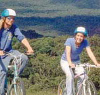 Lysterfield Park - Food Delivery Shop