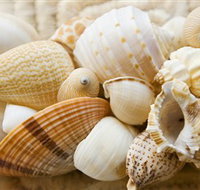 Anglesea Beach Club - Food Delivery Shop