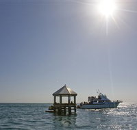 Port Phillip - Pet Food Australia