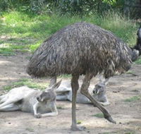 Bundoora Park - Food Delivery Shop