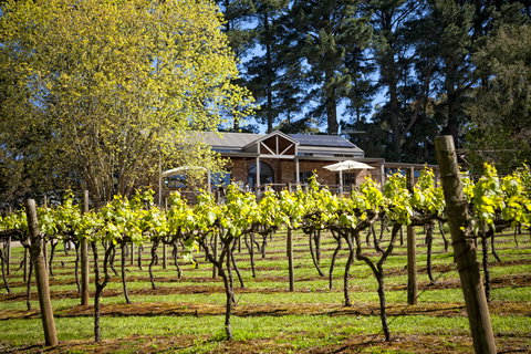 Main Ridge Estate - Food Delivery Shop 3