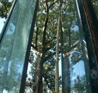 Sydney Sculpture Walk - Food Delivery Shop