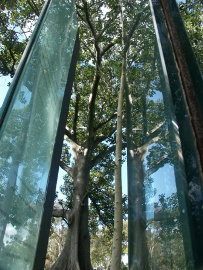 Sydney Sculpture Walk - Food Delivery Shop 0