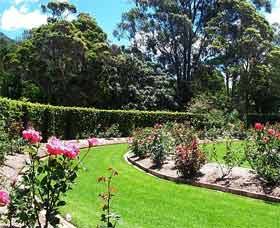 Gwynneville NSW Food Delivery Shop
