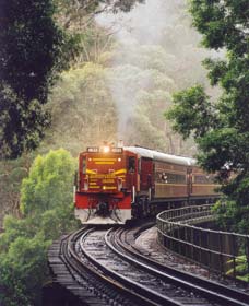Cockatoo Run - Scenic Tour Train Operated By 3801 Limited - Food Delivery Shop 0