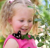 Coffs Harbour Butterfly House - Food Delivery Shop