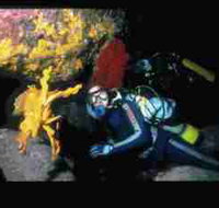 Solitary Islands Marine Park - Food Delivery Shop