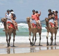 Camel Rides with Coffs Coast Camels - Food Delivery Shop